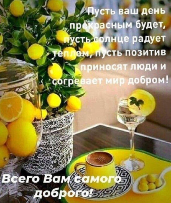 доброе утро лимон