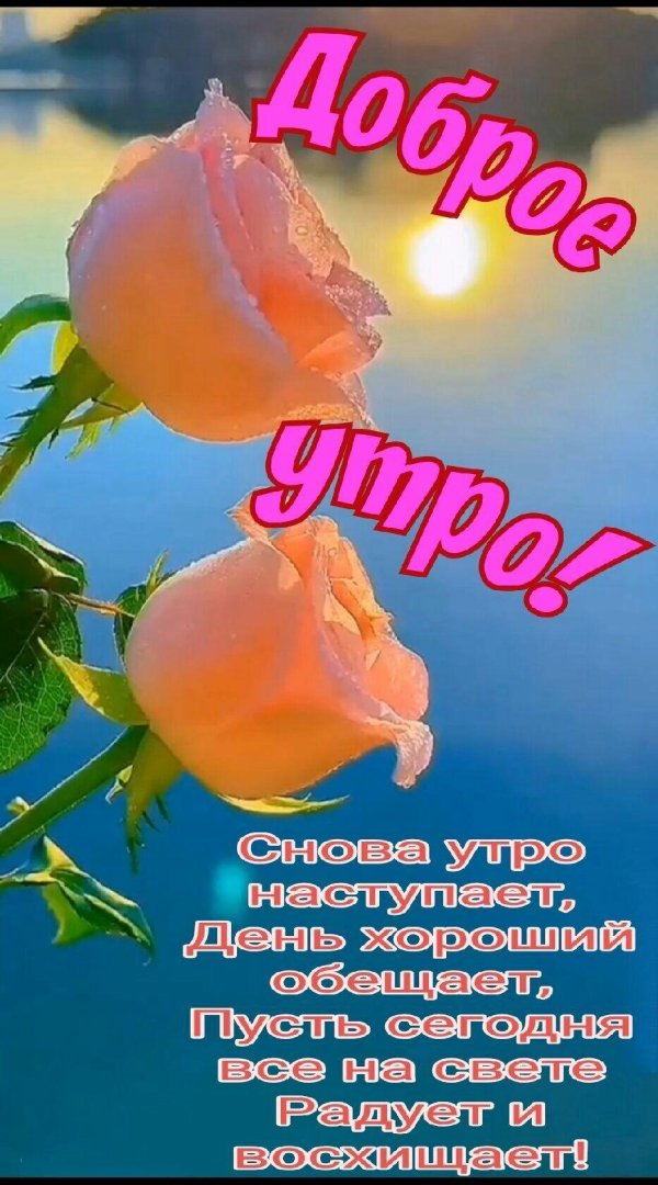 добра утра