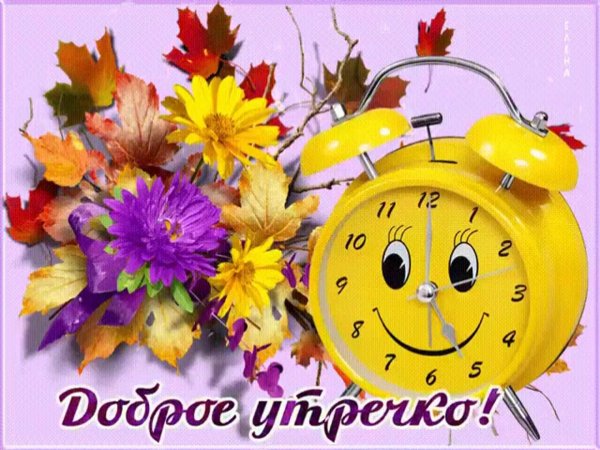 доброе утро здравствуй новый день