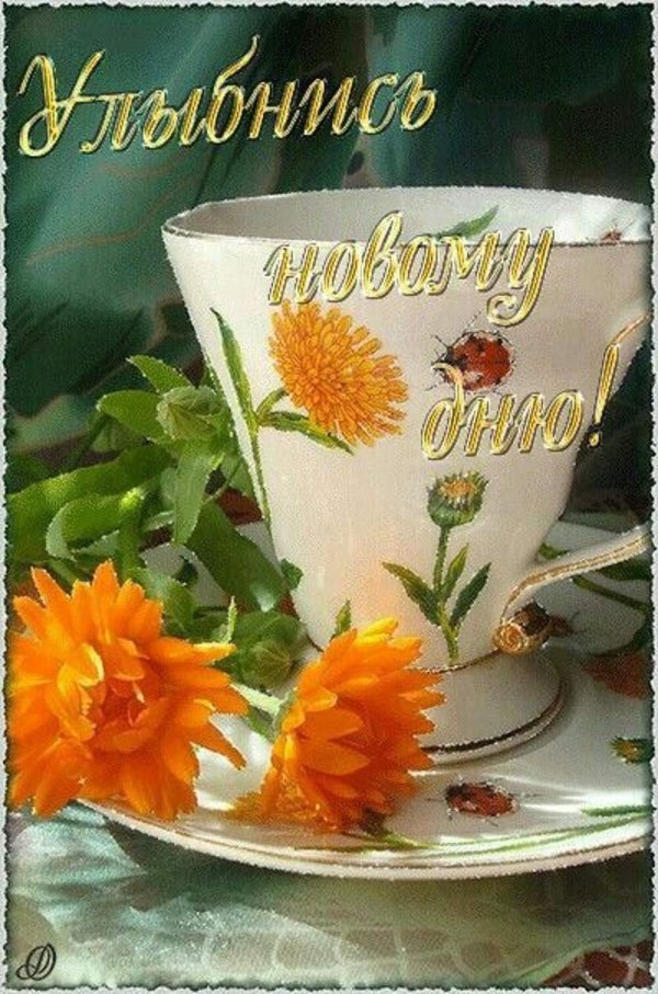 доброго солнечного утра