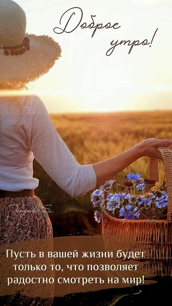 летнего утра