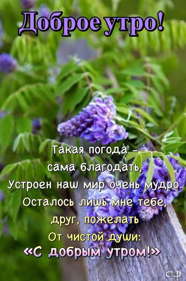 доброго утра весна
