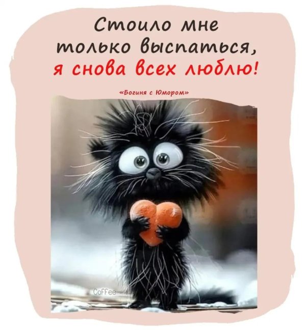 пожелания с юмором