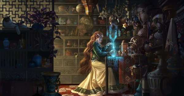 хозяйка магической лавки