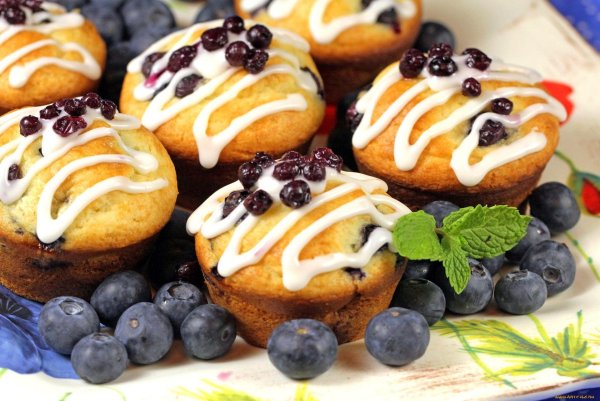 blueberry muffin