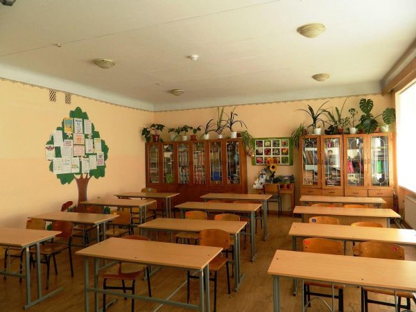 школьные кабинеты