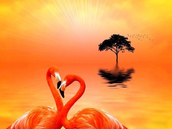 алмазная мозаика фламинго на подрамнике