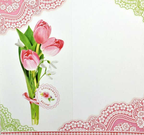 розовые тюльпаны