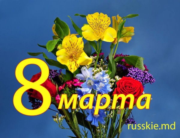 международный женский день 8 марта открытки
