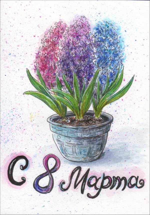 гиацинт акварель