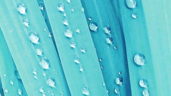 бирюзовые обои