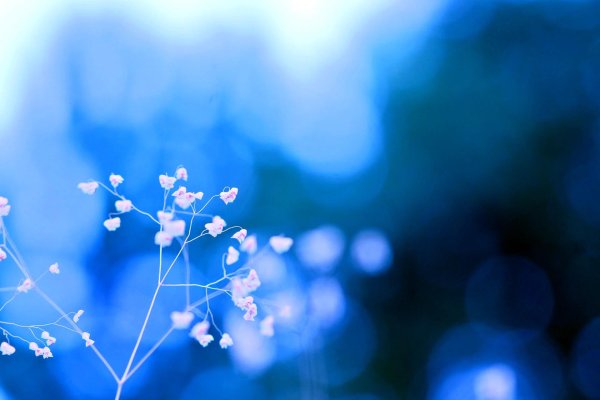 нежно голубой цвет