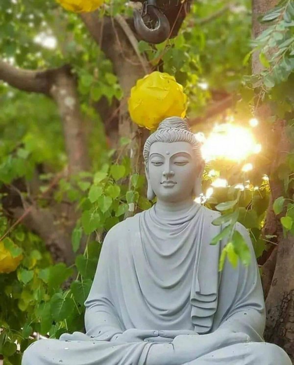 buddha statue