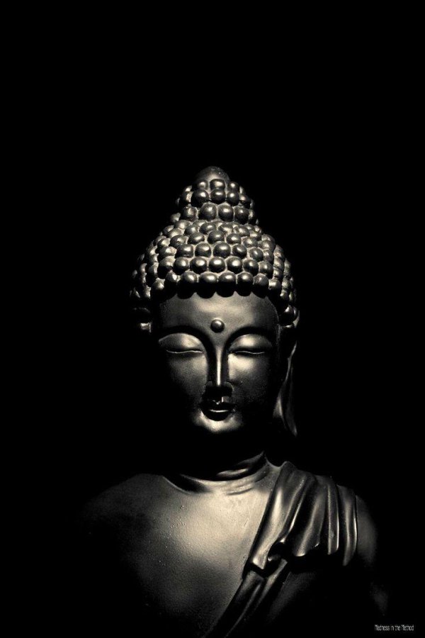 заставка буддизм