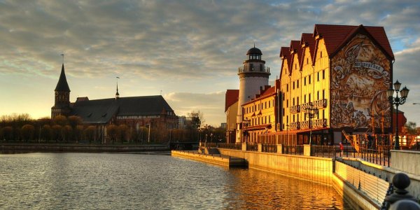 кафедральный собор калининград