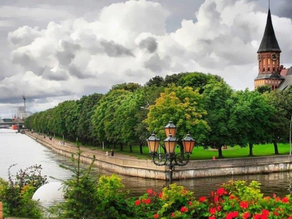 река преголя калининградская