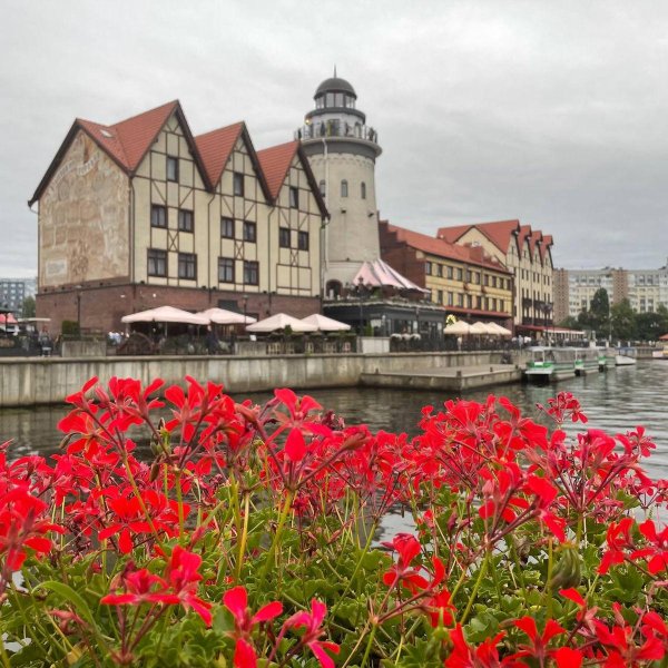 рыбацкая деревня калининград