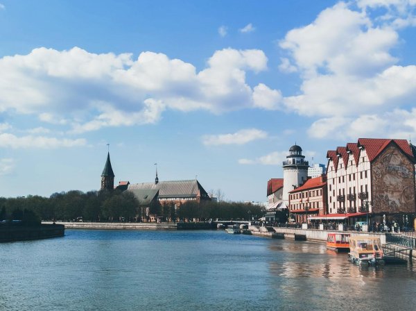 калининград остров канта
