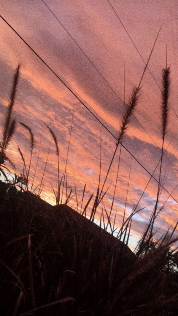 закаты пейзажи