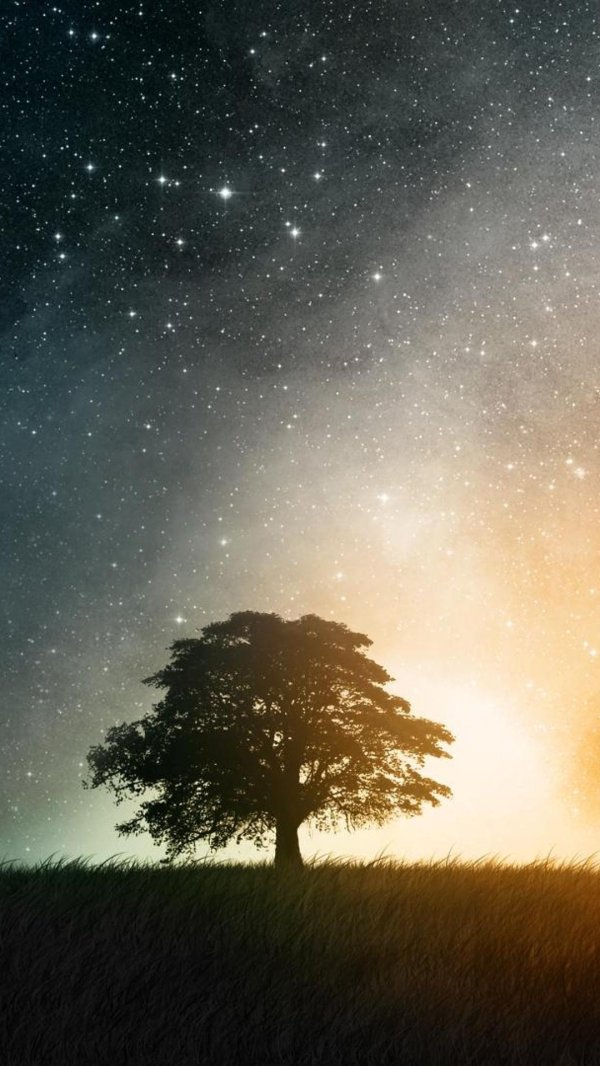 ночь звезды