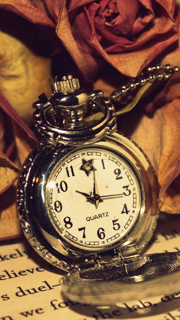 pocket watch
