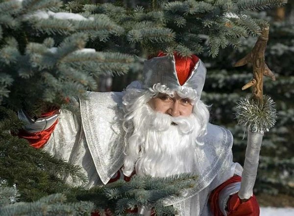 российский дед мороз