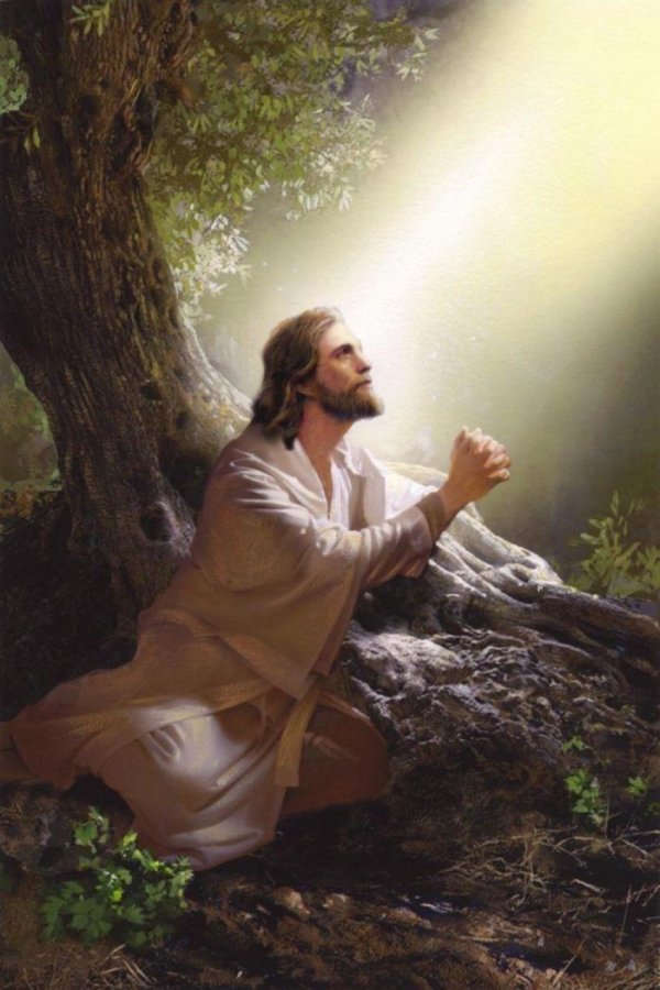 иисус бог и человек  jesus