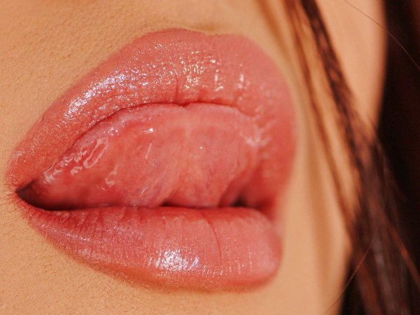 женские губки