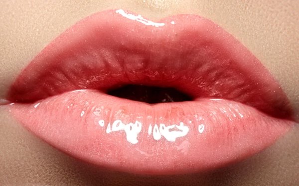 женские губки