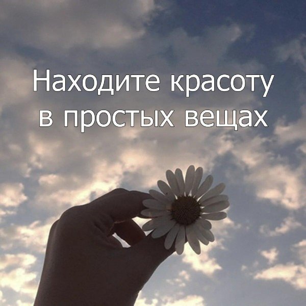 красивая цитата