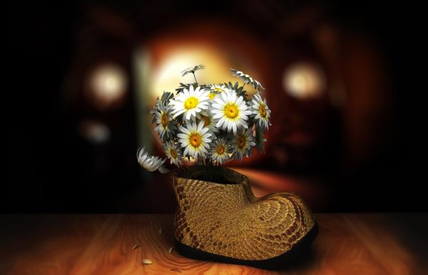 букет ромашек