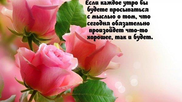 красивые цветы для поздравления