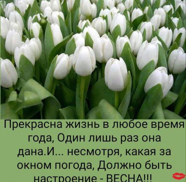 С цветами и надписями про жизнь