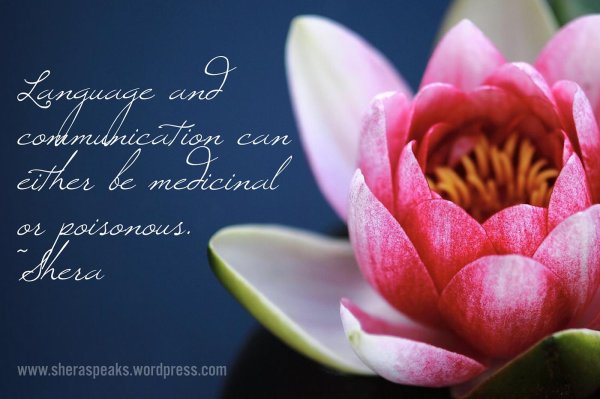 цветки лотоса