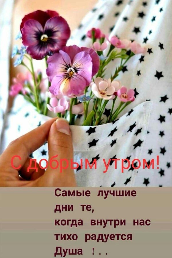 цветочного настроения