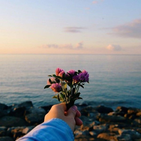 красивая фраза