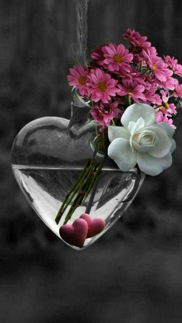 душевные цветы