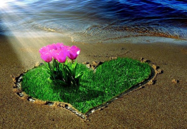 любовь к природе