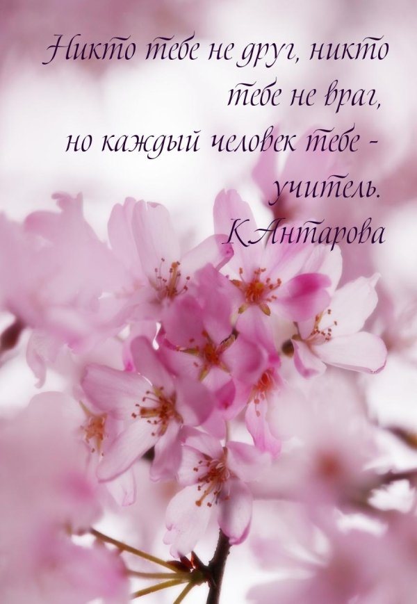 красивые мудрые слова