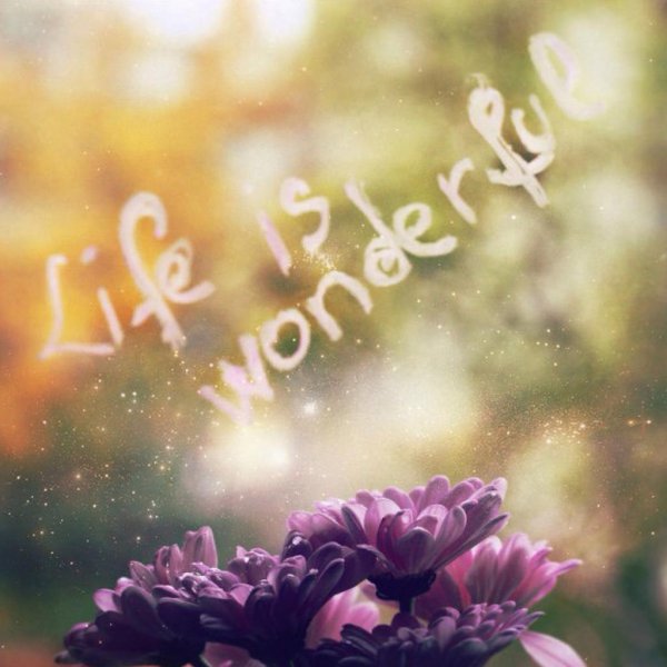 life is wonderful