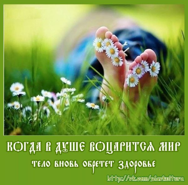 С цветами и надписями про жизнь