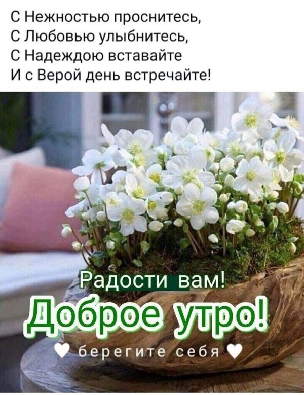 доброе утро вера