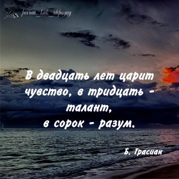 мудрая цитата