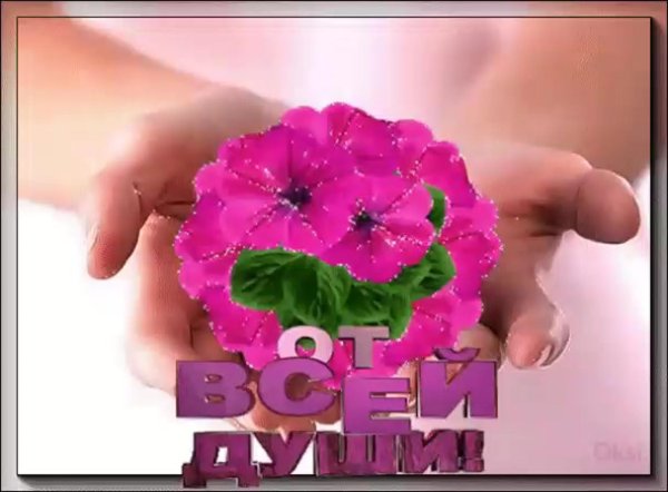 дарю цветочек