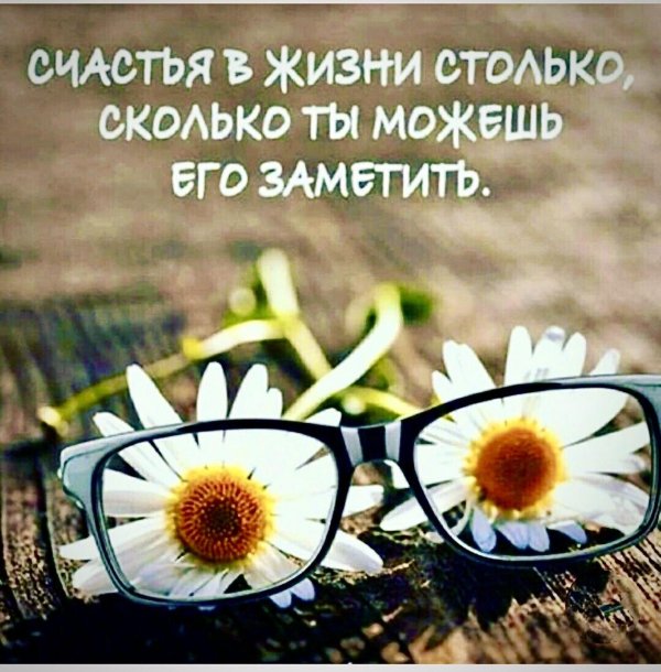 цитаты позитивные