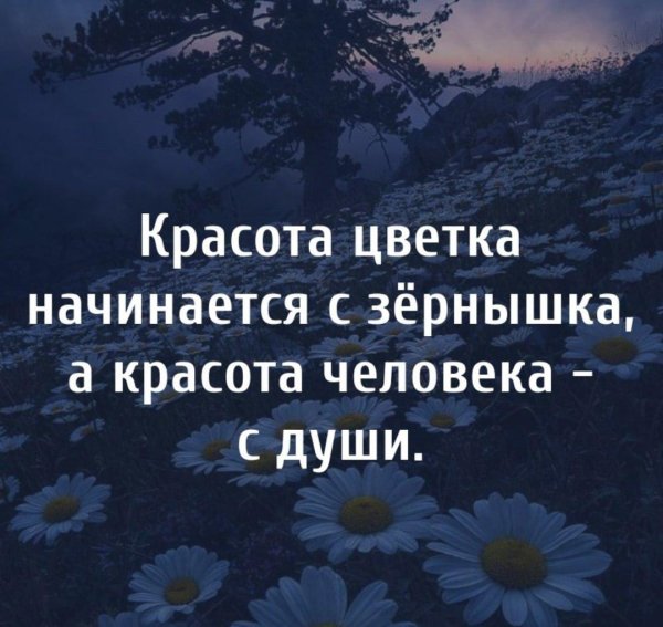 красота человека