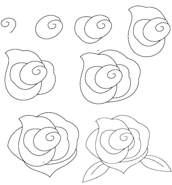 поэтапное рисование розы