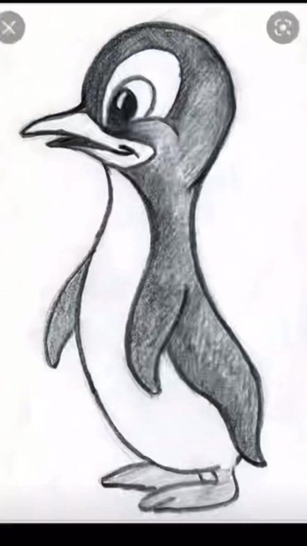 пингвин для срисовки