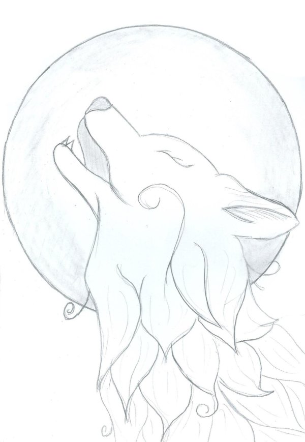 срисовка волка