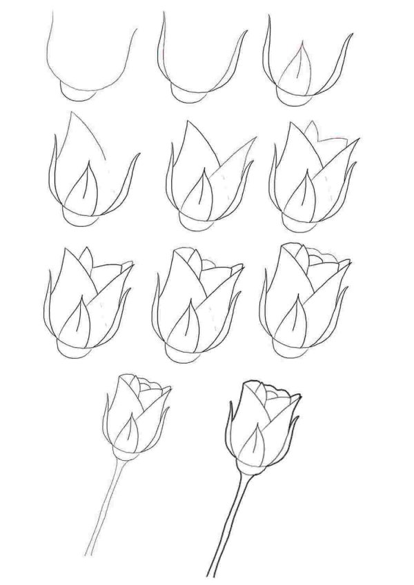 простые цветы для рисования